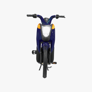 Gen 1 Electric Bike