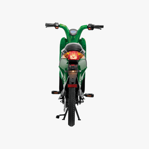 Gen 1 Electric Bike