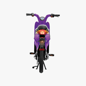 Gen 1 Electric Bike