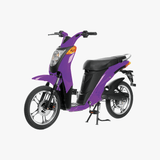 Gen 1 Electric Bike