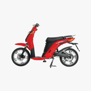 Gen 1 Electric Bike