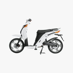 Gen 1 Electric Bike