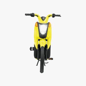 Gen 1 Electric Bike