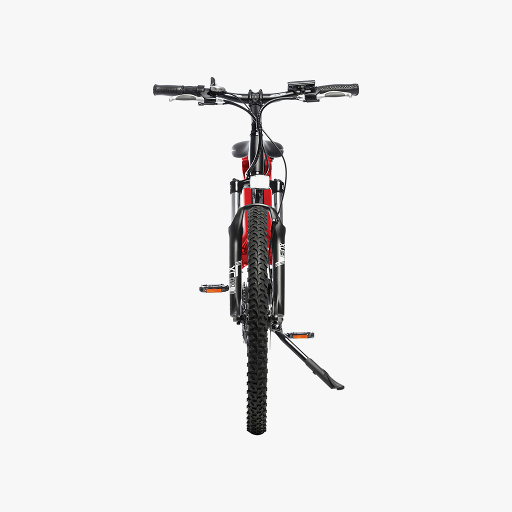 MTB Electric Bike