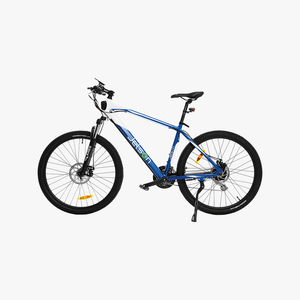 Adventure Electric Bike