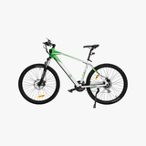 Adventure Electric Bike