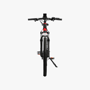 Adventure Electric Bike