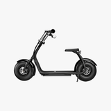 Fatboy Electric Bike