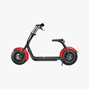 Fatboy Electric Bike