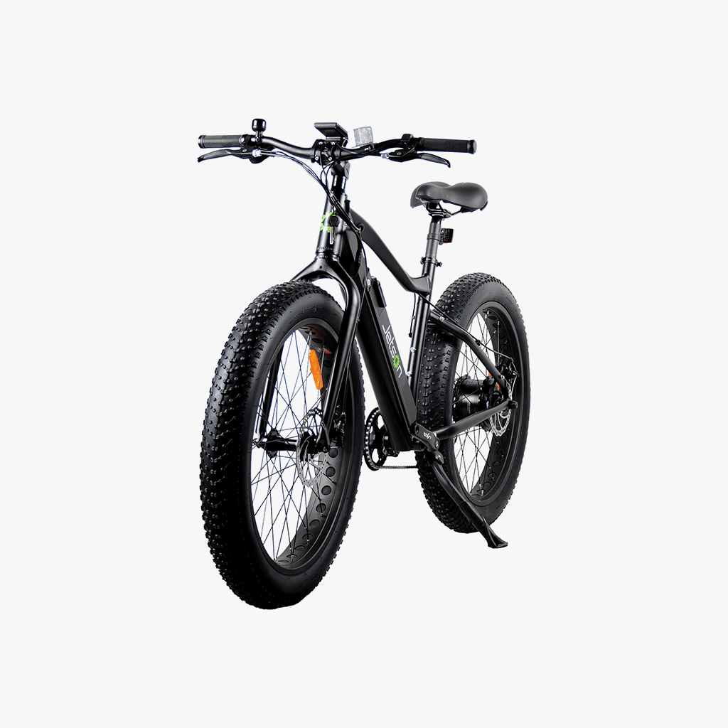 Fat Tire Electric Bike