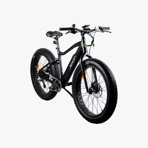 Fat Tire Electric Bike