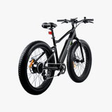 Fat Tire Electric Bike