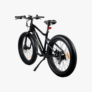 Fat Tire Electric Bike