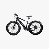 Fat Tire Electric Bike