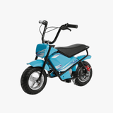 Jetson Jr. Electric Bike