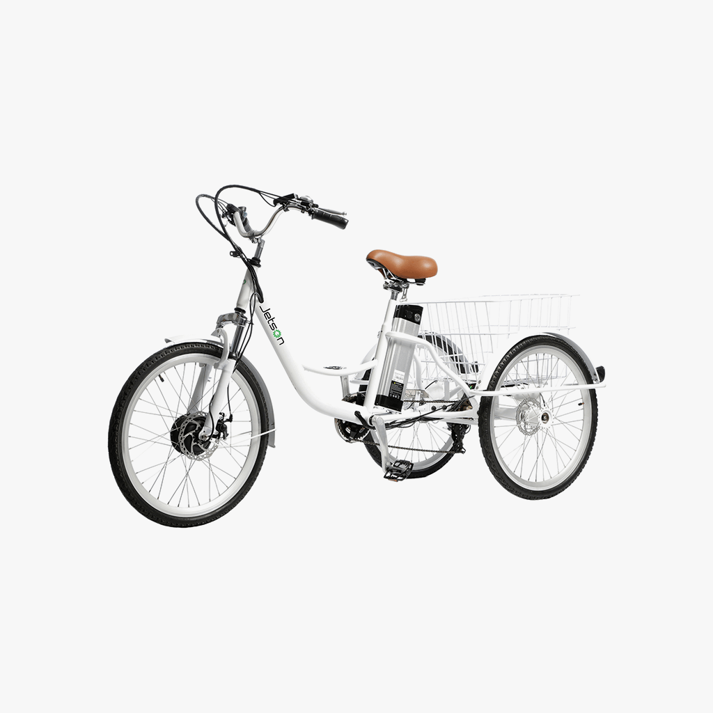 Trike Electric Bike