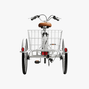 Trike Electric Bike