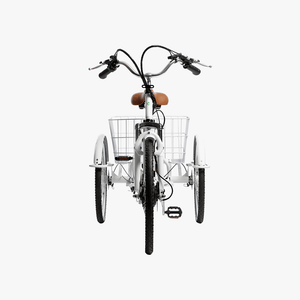 Trike Electric Bike