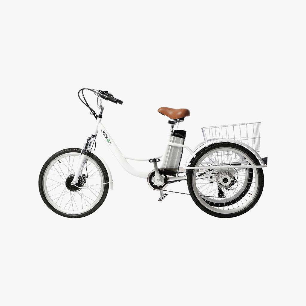 Trike Electric Bike