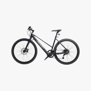 Trekker Electric Bike